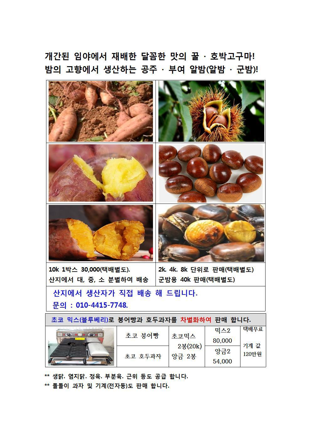 호박공주 이미지