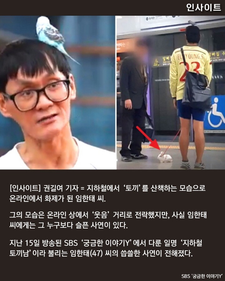 지하철 토끼남의 뒷이야기 | 인스티즈