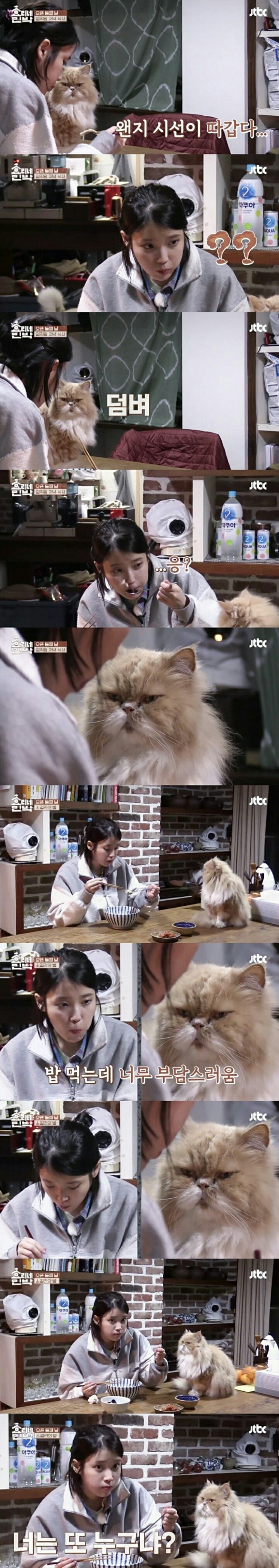 아이유 팬미팅에 도착한 이상한 화환 | 인스티즈