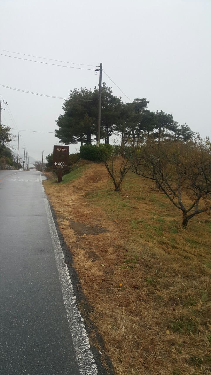 순천만 숲3 이미지