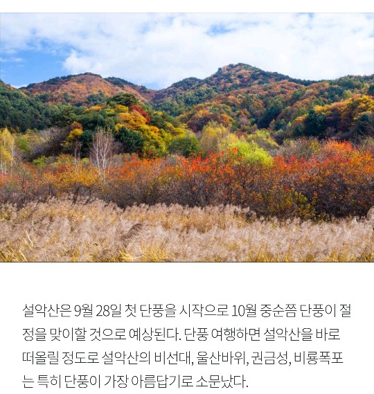 [국내여행] 가을가을한 국내 낭만 여행지 BEST 5 | 인스티즈