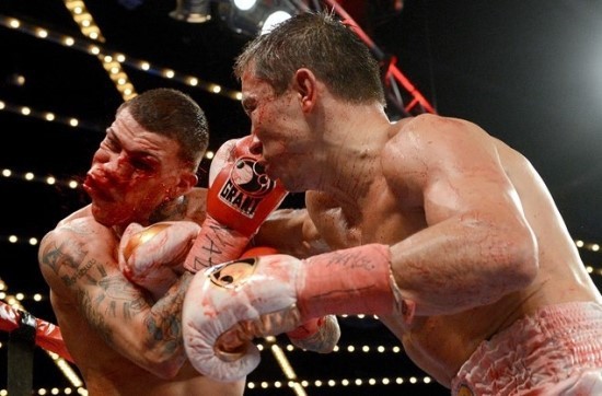 자기 턱을 내주고도 카운터 쳐서 역 KO를 따내는, 이길 방법이 없다는 공략불가의 복싱계 끝판왕 본좌 골로프킨.GIF | 인스티즈