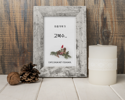 체크치마 아린이 (데이터 주의) | 인스티즈