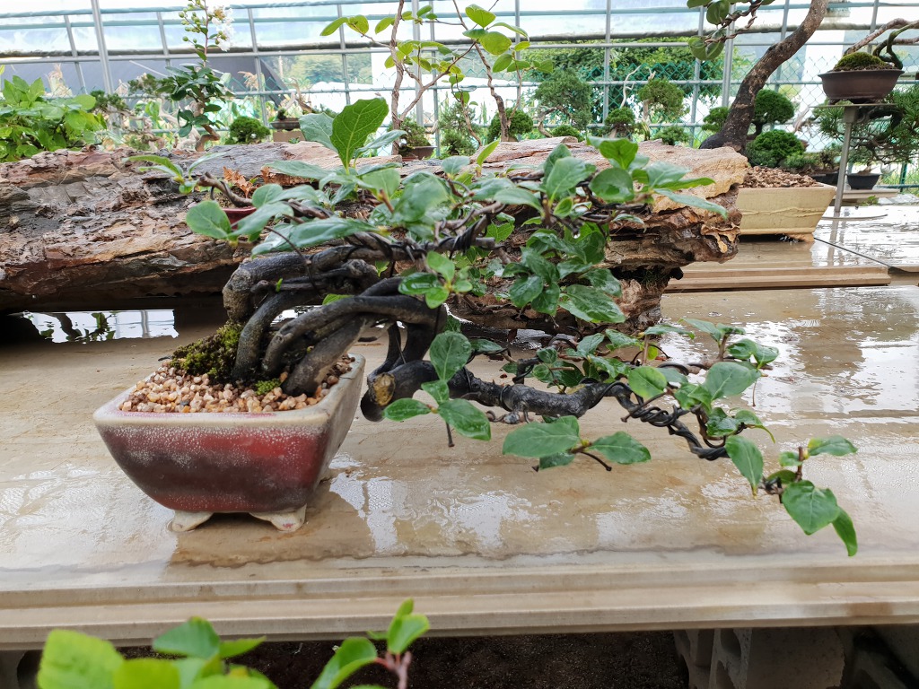 수지원 이미지