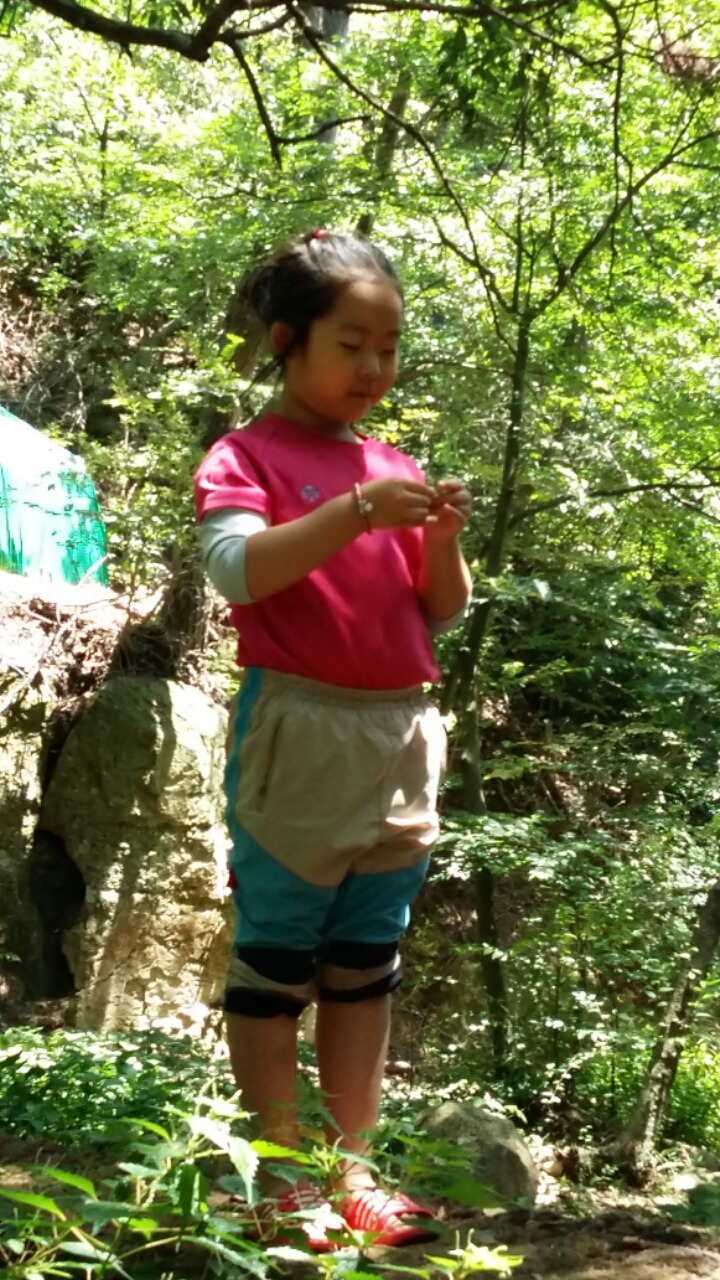 연이숲 이미지