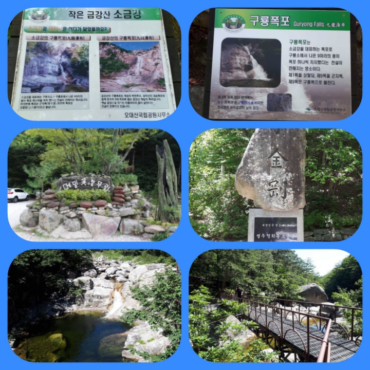 소금강메밀막국수 이미지
