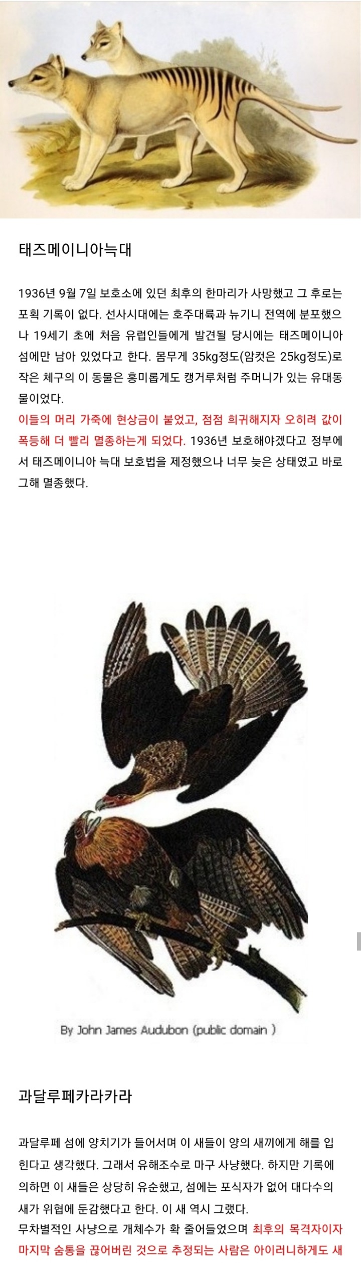지구를 망치고 멍들게 하는 최악의 바이러스 같은 존재 | 인스티즈