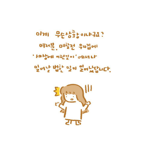 은혜갚은 고양이 | 인스티즈