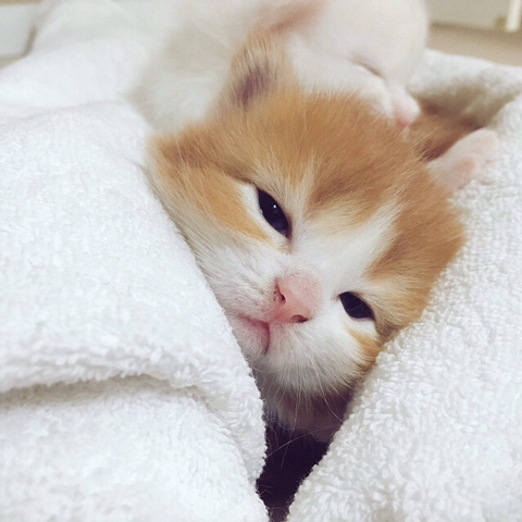 (주)알지힐링 이미지