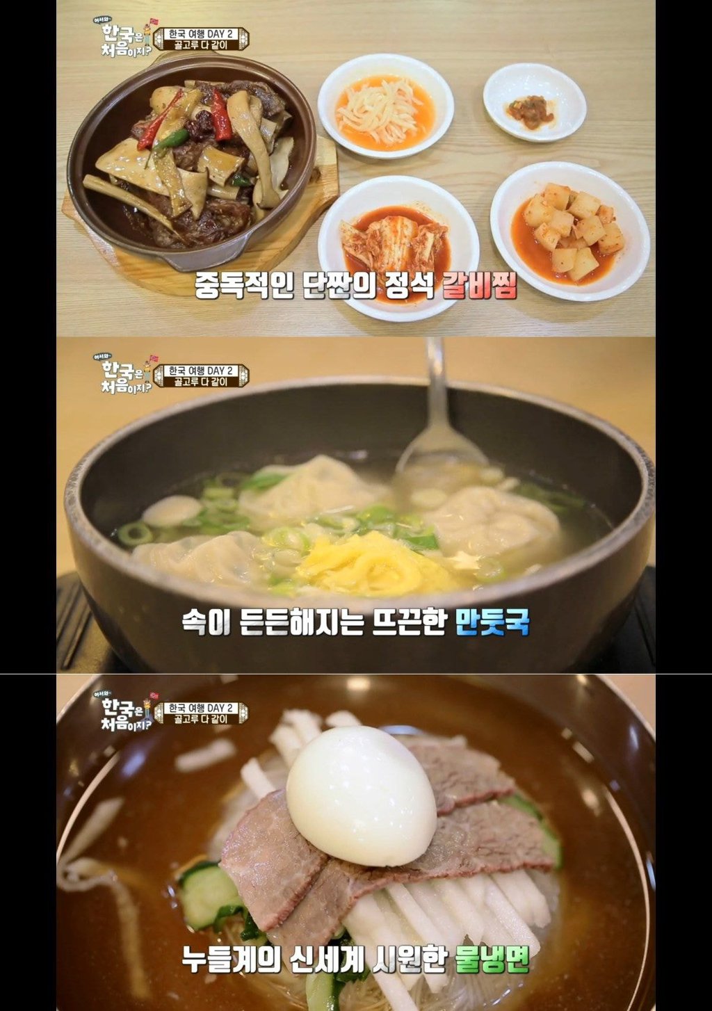 [어서와어쩌구] 무계획인데 한국음식 제대로 먹고다니는 노르웨이 친구들.jpg | 인스티즈