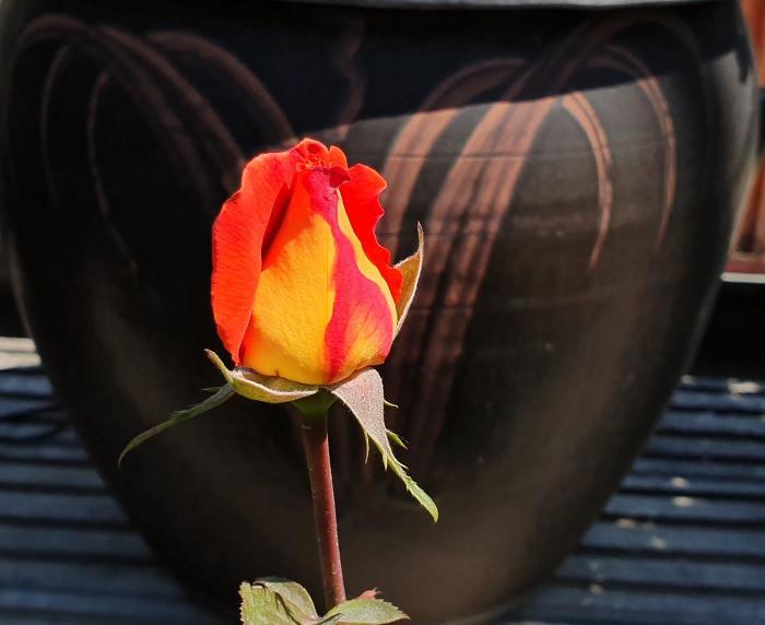 99B6BF4F5CCFCA310A498D