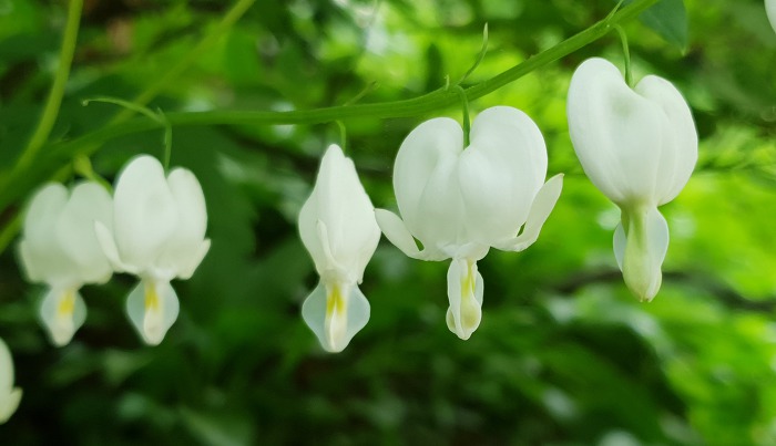 99B86A3E5CD8BF38147ECE