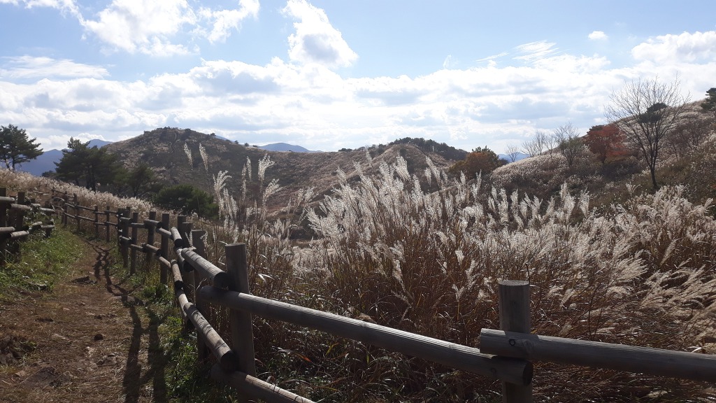민둥산 이미지