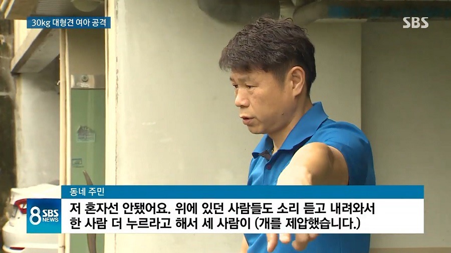 주택에서 키우던 대형견이 세 모녀 공격.gif | 인스티즈