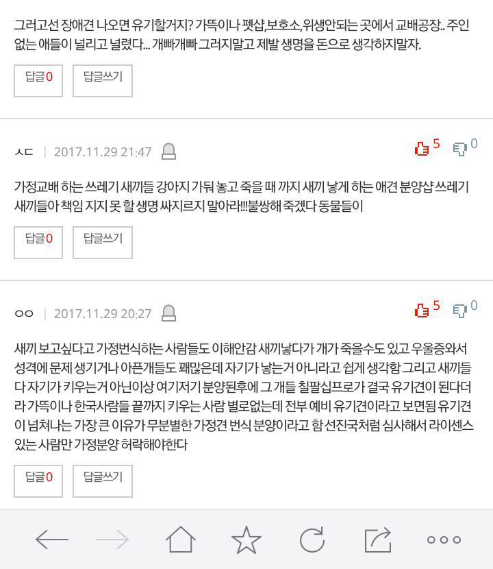 개를 악세사리로 아는 사람들 | 인스티즈