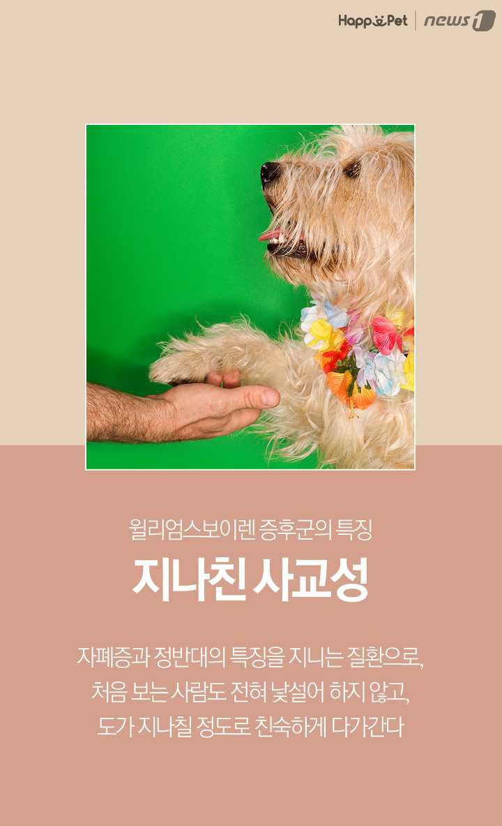 개들은 왜 처음보는 사람도 좋아할까? (이유충격) | 인스티즈