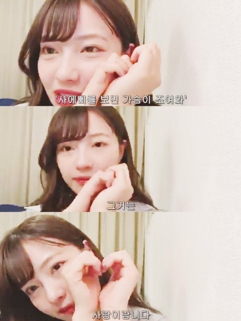 [프로듀스48] 주관을 듬뿍담은 프듀48 베스트12 | 인스티즈