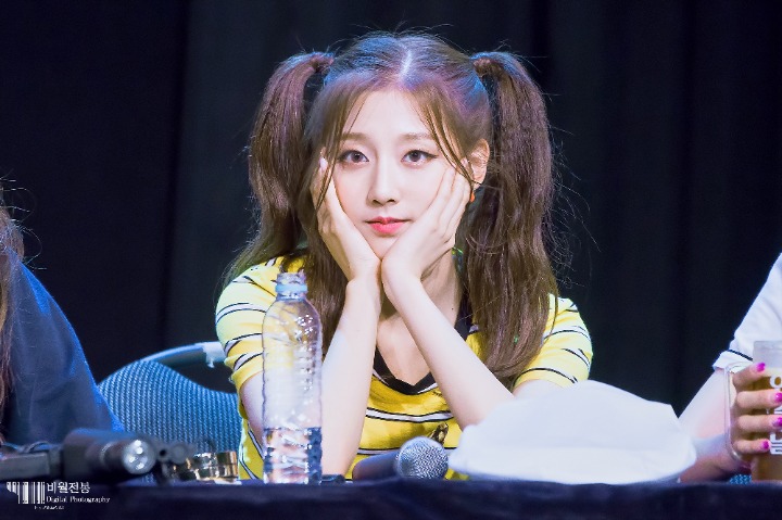 고란 이미지