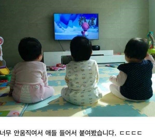 뽀로로 전성기 시절 | 인스티즈