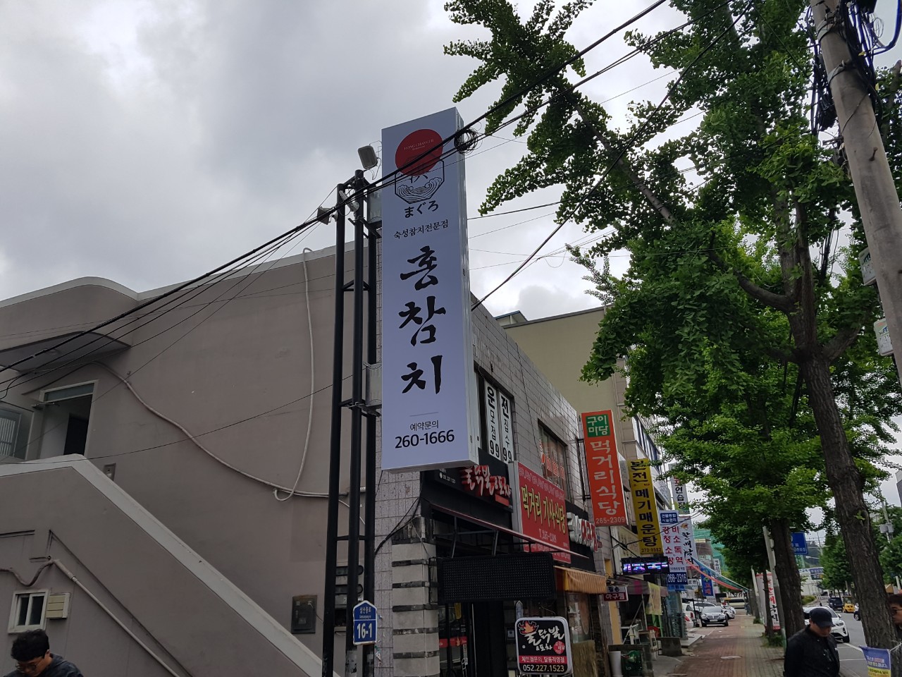홍참치 이미지