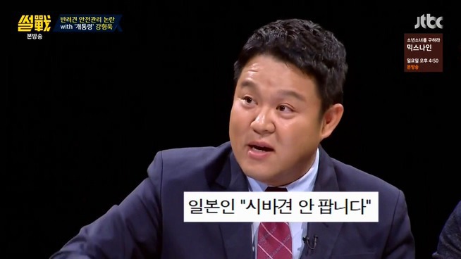 [썰전] 시바견 | 인스티즈