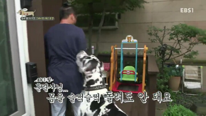 강형욱 훈련사에게 감탄한 세나개 제작진과 견주들.jpg | 인스티즈