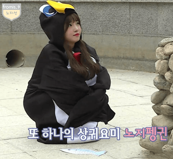 운전금지 100년.gif | 인스티즈