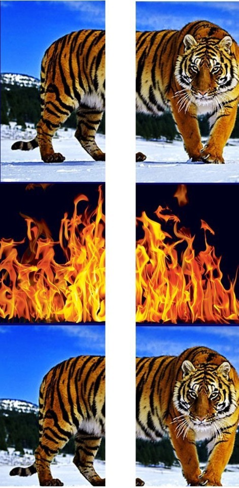 호불호 갈리는사진 | 인스티즈