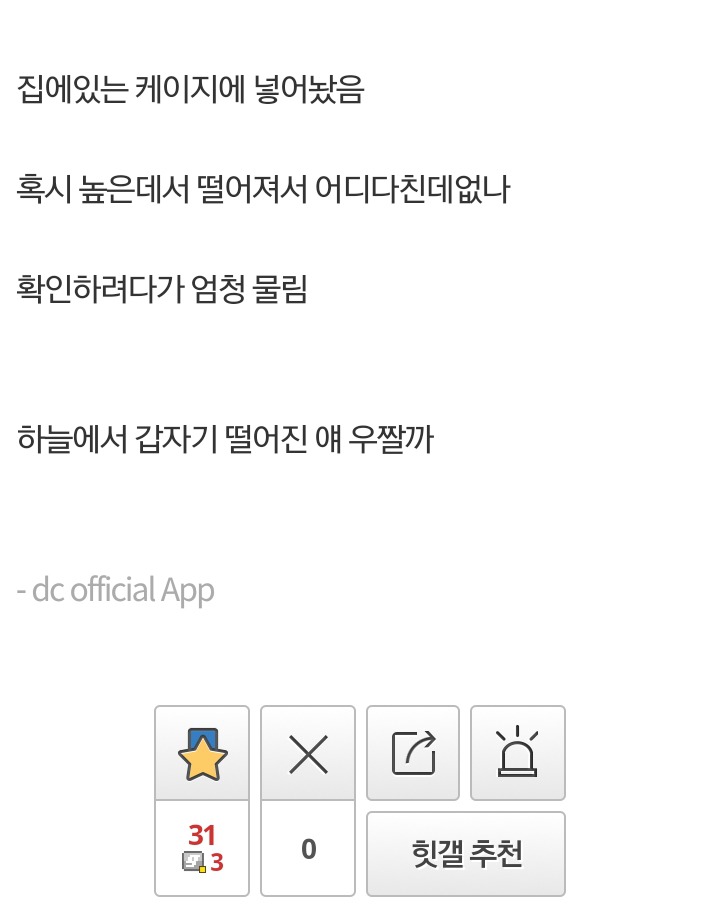 디씨인이 고양이를 줍는법 | 인스티즈