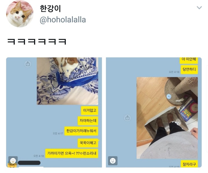니가 상자에서 자면 되잖아 | 인스티즈