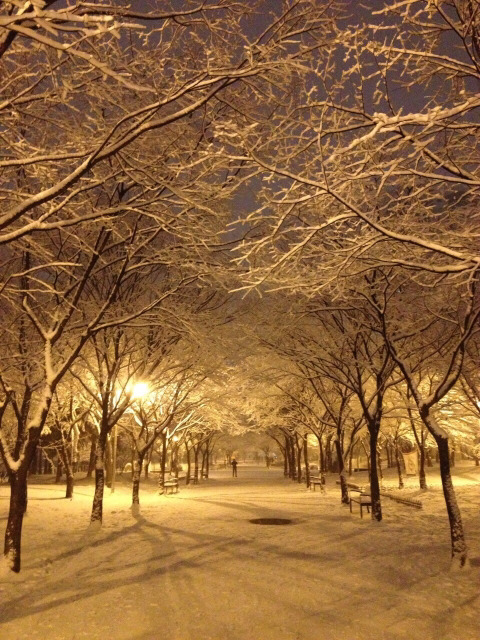 횡단보도까지 | 인스티즈