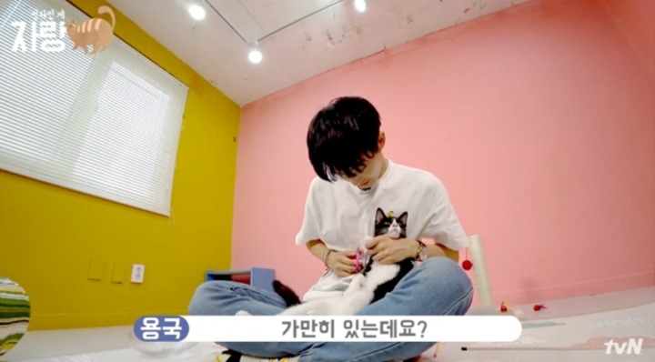 [집사인게자랑] 평화로운 고양이 발톱 자르기.jpg | 인스티즈