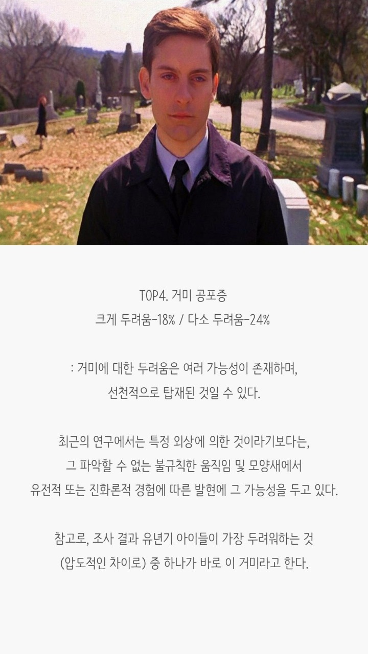 사람들이 겪는 공포증(무서운 사진 없음) | 인스티즈