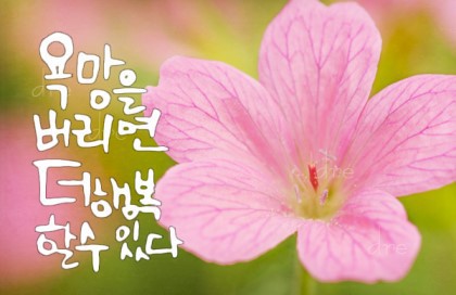 해피데이 이미지