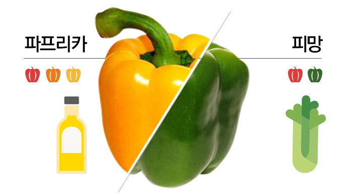 많은 사람들이 헷갈려 하는 채소 | 인스티즈