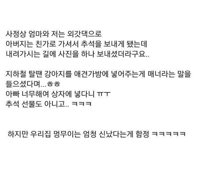 전설의 추석쇠러 가는 댕댕이 | 인스티즈