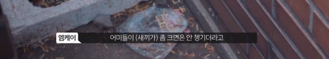 망원동 고양이 밥을 책임지고 있는 아이돌 | 인스티즈