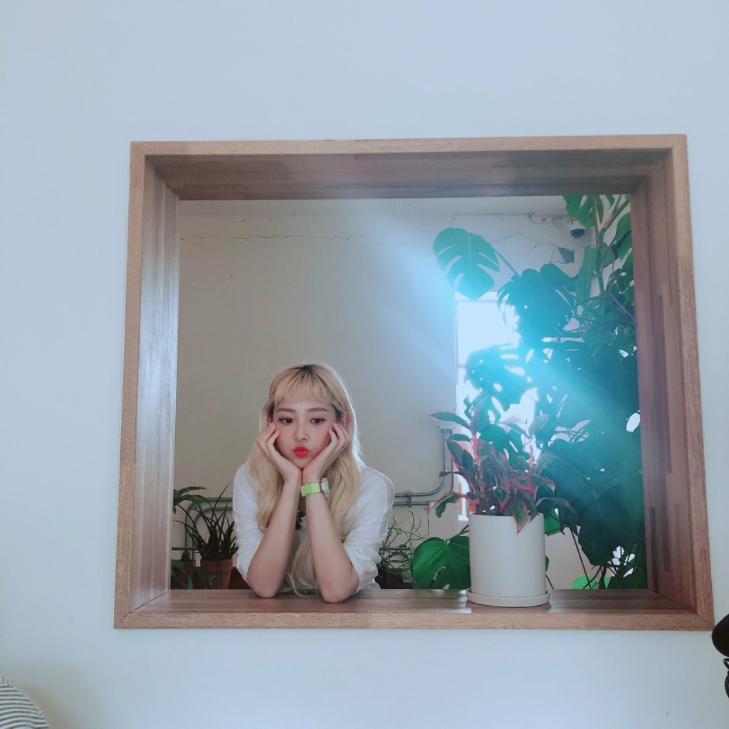 오늘 자 소나무 트위터 사진 | 인스티즈
