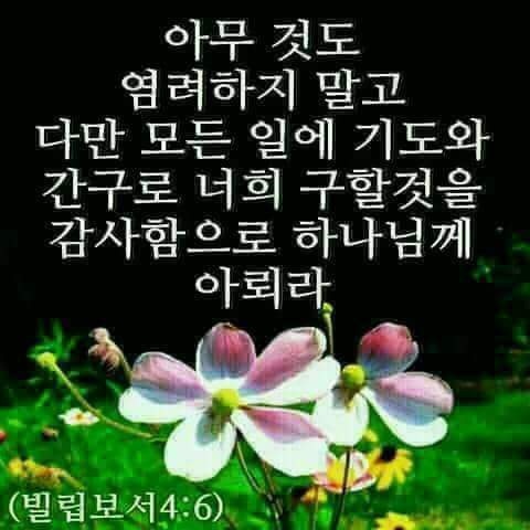 노방 이미지