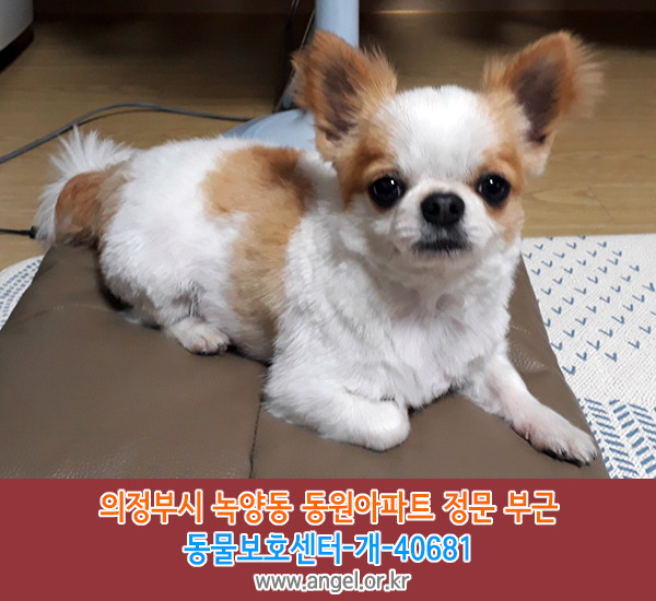 수컷 이미지