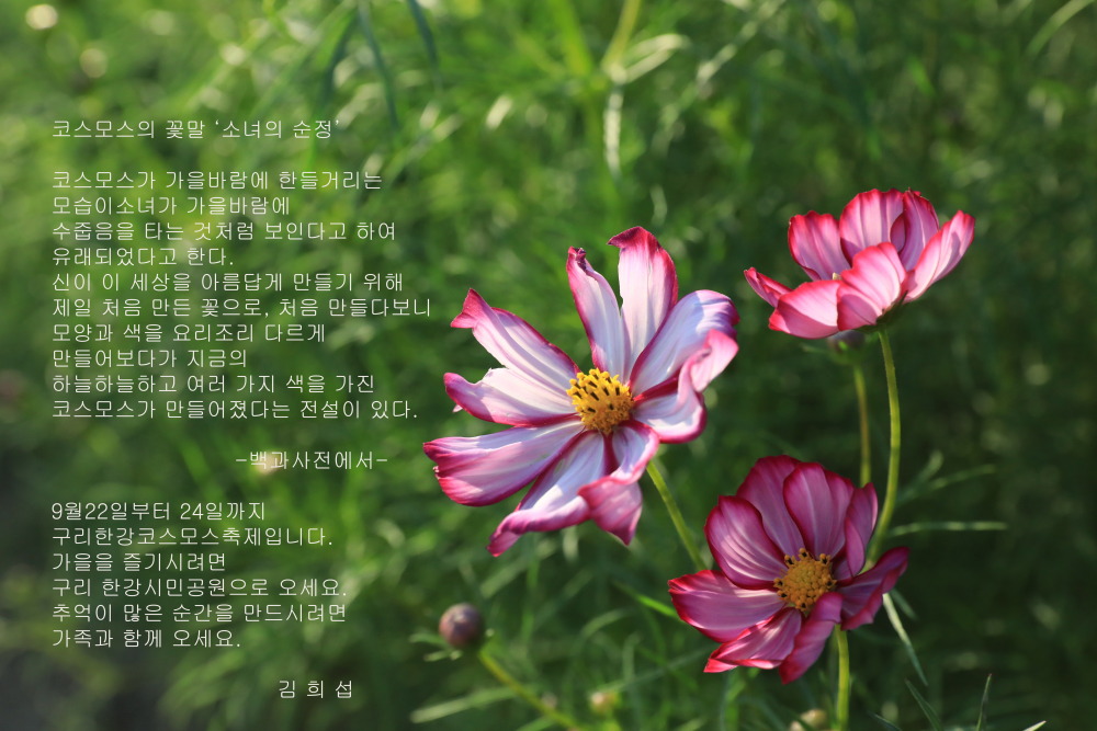 에오세 이미지