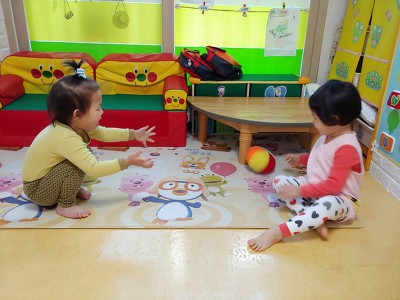 마루사이주 이미지