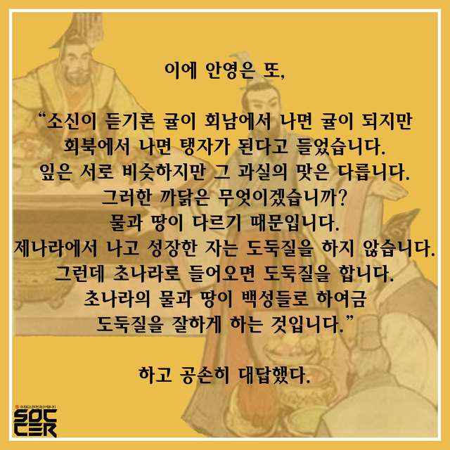 [이야기로듣는고사성어] 우리 동네 귤이 딴 동네 갔더니 탱자가 된 썰 푼다 | 인스티즈