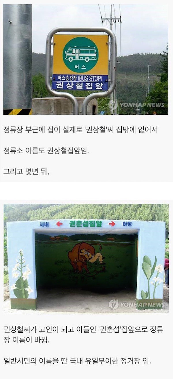 신기한 버스정류장 | 인스티즈