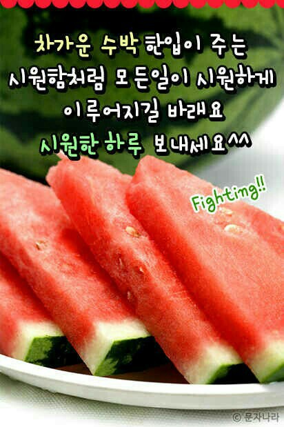 싸가지엔 이미지