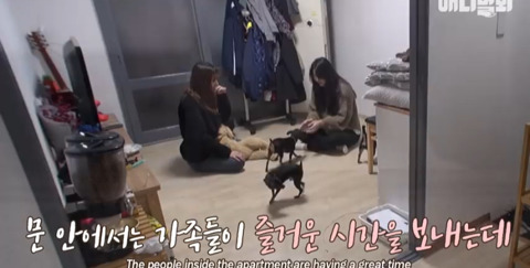 아파트 단지에서 만나는 사람마다 졸졸 따라 다니는 강아지의 사연 | 인스티즈